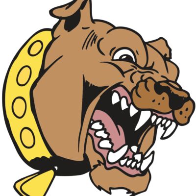 AR BDOG 49 RC Thumbnail