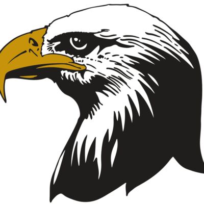 AR EAGLE 87 RC Thumbnail