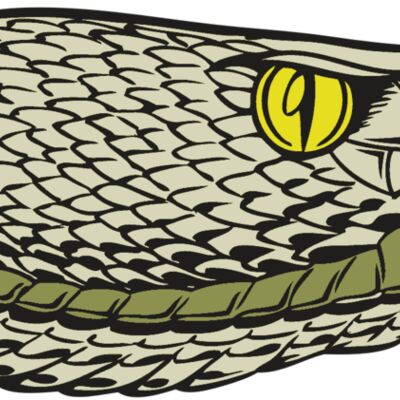 BAW SNAKE 03 RC Thumbnail