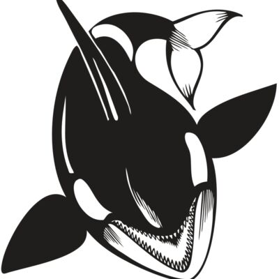 BAW KLRWHALE 01 RC Thumbnail