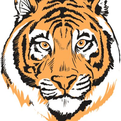 AR9 TIGER HEAD RQC Thumbnail