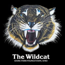 Wildcat T-Shirt Design