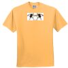 Unisex Jersey Short-Sleeve T-Shirt Thumbnail