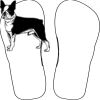 Flip Flops For Adults and Children Thumbnail