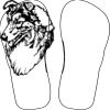Flip Flops For Adults and Children Thumbnail