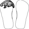 Flip Flops For Adults and Children Thumbnail