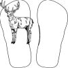 Flip Flops For Adults and Children Thumbnail