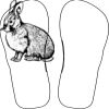 Flip Flops For Adults and Children Thumbnail