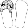 Flip Flops For Adults and Children Thumbnail