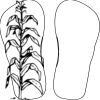 Flip Flops For Adults and Children Thumbnail