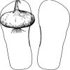 Flip Flops For Adults and Children Thumbnail